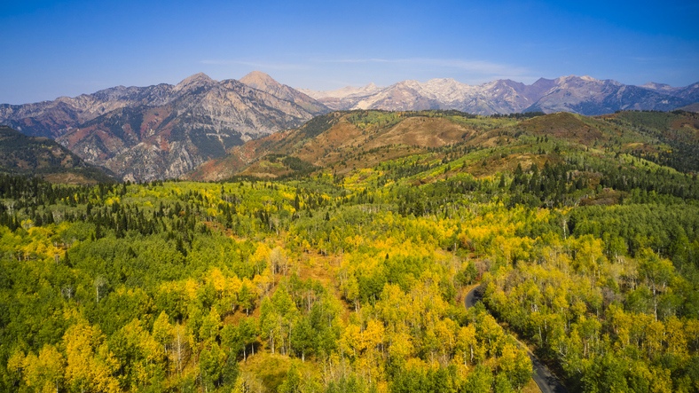 2021 Wasatch County General Election