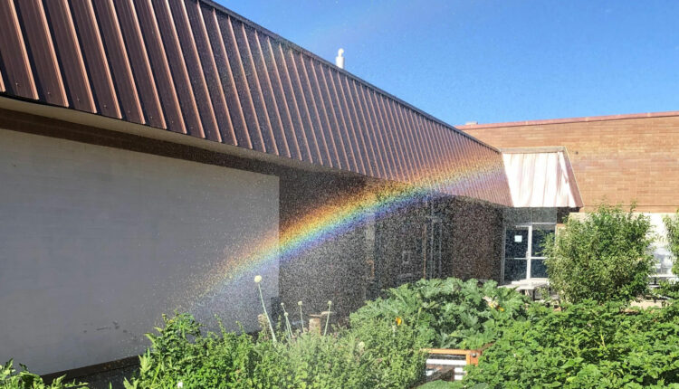 IDEAL-garden-rainbow