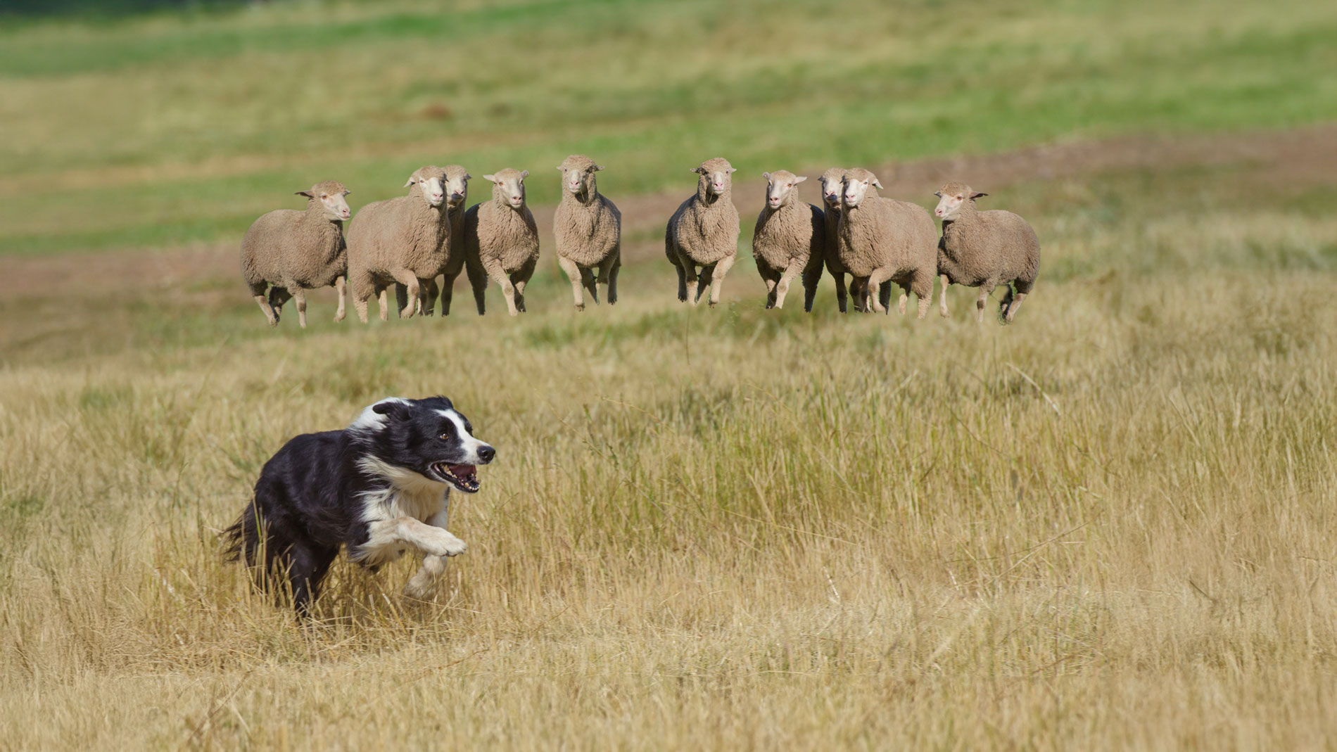 Soldier Hollow Classic Returns Memorial Weekend