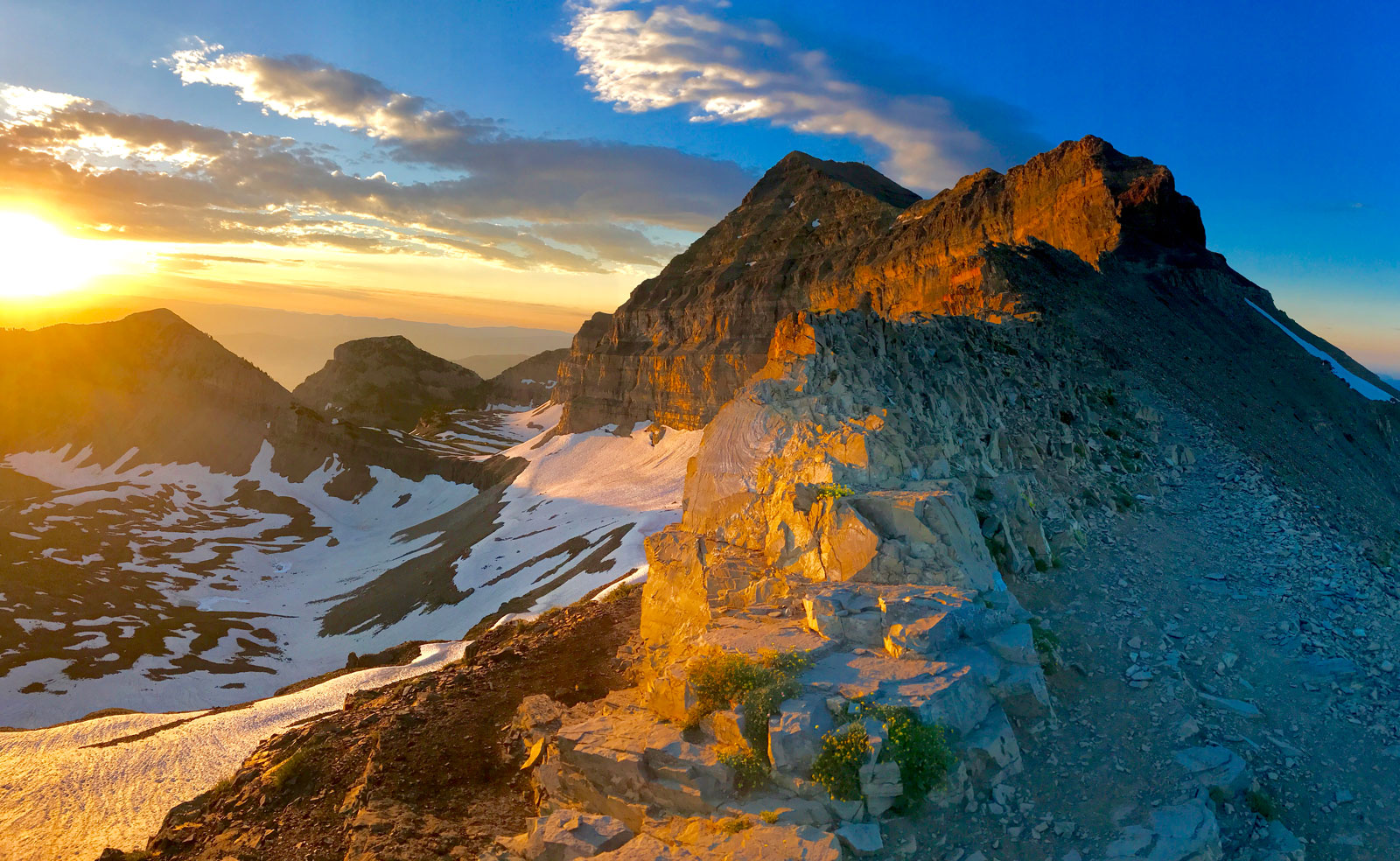 A New Software Update Is Available