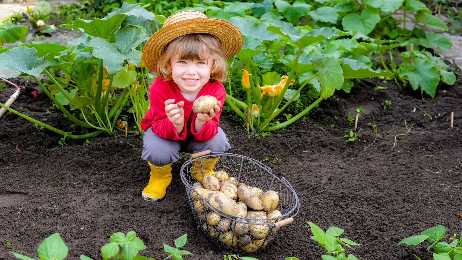 Family Fundraiser: Potato Harvest Fun in Heber Valley