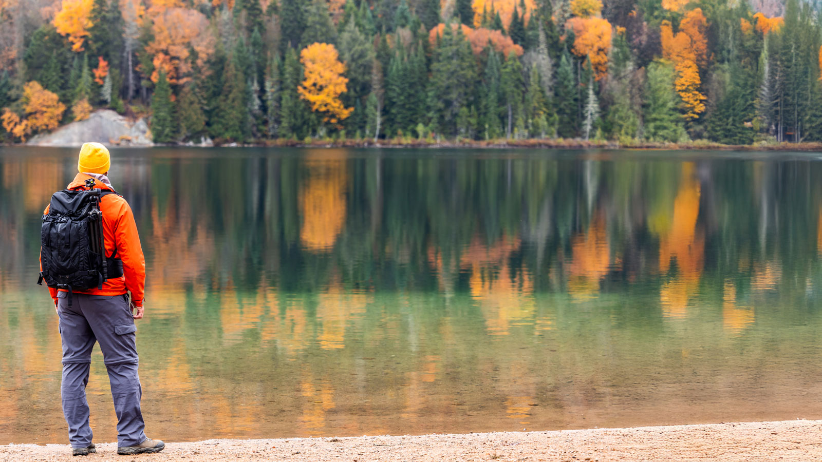 Do you know who I am?