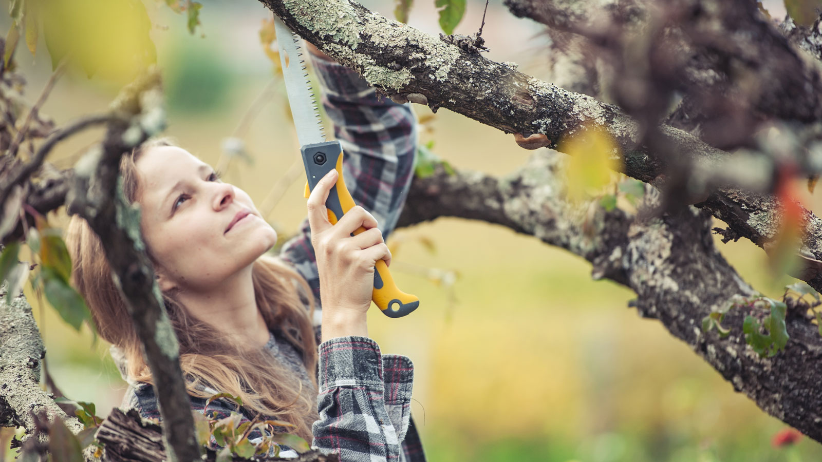 Winter Prep for Gardening in Heber Valley