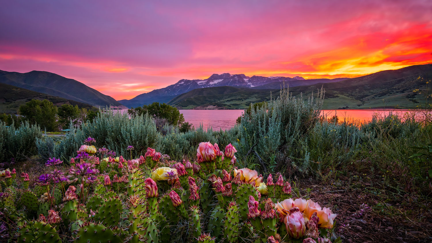 Embrace Your Inner Cactus